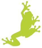 www.frogsolutionsdesign.com